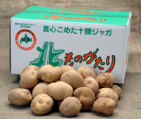 赤間農場 北あかり